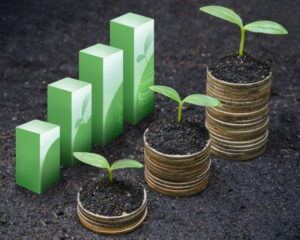 Eco Savings